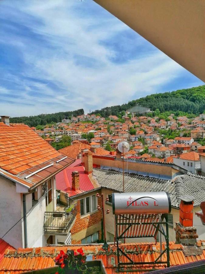 ***Vila Tose D. Крушево Екстер'єр фото